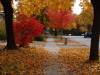 dsc_9653-800x600
