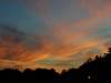 dsc_9954-800x600