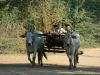 myanmar2013_02_1-local-transporter